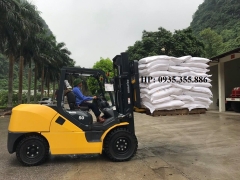 Bàn giao xe nâng 5 tấn, model: FD50AYT-10 tại Hải Phòng